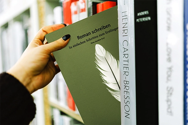Roman schreiben: Buch